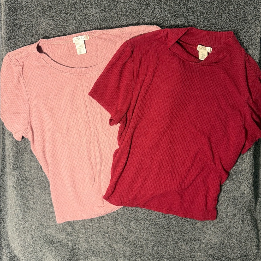Set of Two- Bozzolo Pink Crop Short Sleeve Tee and Maroon Crop High‎ Neck Tee